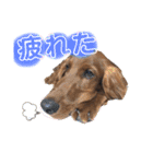 ELUMO STAMP（個別スタンプ：10）