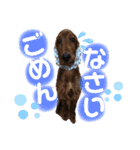 ELUMO STAMP（個別スタンプ：11）