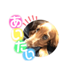 ELUMO STAMP（個別スタンプ：13）