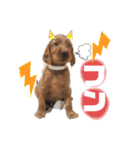 ELUMO STAMP（個別スタンプ：16）
