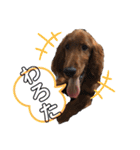 ELUMO STAMP（個別スタンプ：19）