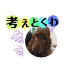 ELUMO STAMP（個別スタンプ：21）