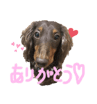 ポッキーNO.1（個別スタンプ：7）