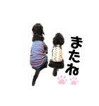 ワンワンワン♡  あいさつスタンプ（個別スタンプ：6）
