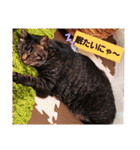 親戚だ（個別スタンプ：7）