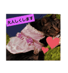 親戚だ（個別スタンプ：21）