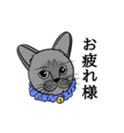 かわいいロンくん（個別スタンプ：1）