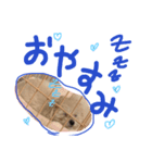ぽむおくん（個別スタンプ：8）