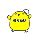 ぴよこの腹の中、しろとくろ（個別スタンプ：12）
