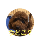 可愛いトイプードルの日課（親子Ver.）ニケ（個別スタンプ：4）