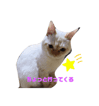 あんず と すばる（個別スタンプ：5）