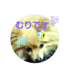 すもれお（個別スタンプ：2）