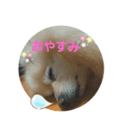 すもれお（個別スタンプ：3）