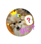 すもれお（個別スタンプ：4）
