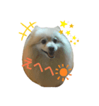 すもれお（個別スタンプ：5）