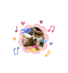 コロコロstamp（個別スタンプ：12）