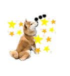 コロコロstamp（個別スタンプ：18）