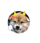 コロコロstamp（個別スタンプ：27）