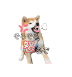 コロコロstamp（個別スタンプ：30）