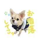 にこにこテトくん☆（個別スタンプ：7）