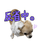 にこにこテトくん☆（個別スタンプ：8）