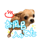 にこにこテトくん☆（個別スタンプ：13）