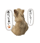 にこにこテトくん☆（個別スタンプ：16）