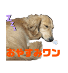 毎日使えるモカスタンプ（個別スタンプ：2）
