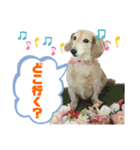 毎日使えるモカスタンプ（個別スタンプ：11）