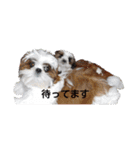 千斗❤️斗真（個別スタンプ：1）