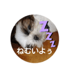 千斗❤️斗真（個別スタンプ：2）