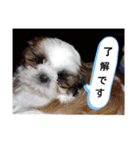 千斗❤️斗真（個別スタンプ：4）