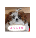 千斗❤️斗真（個別スタンプ：7）