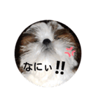 千斗❤️斗真（個別スタンプ：8）
