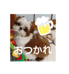 千斗❤️斗真（個別スタンプ：9）