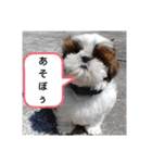 千斗❤️斗真（個別スタンプ：10）