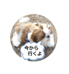 千斗❤️斗真（個別スタンプ：11）