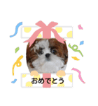 千斗❤️斗真（個別スタンプ：13）