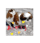 千斗❤️斗真（個別スタンプ：15）