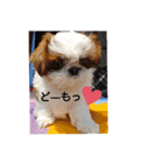 千斗❤️斗真（個別スタンプ：16）