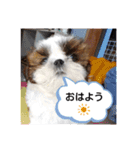 千斗❤️斗真（個別スタンプ：17）