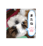 千斗❤️斗真（個別スタンプ：18）