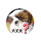 千斗❤️斗真（個別スタンプ：20）