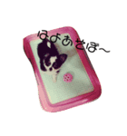 CoCoAyAnA（個別スタンプ：7）