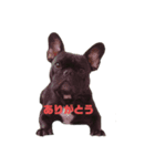 フレブルROY stamp⚐⚑（個別スタンプ：3）