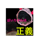 ぼいちゃんスタンプ（個別スタンプ：8）