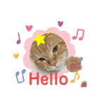 おてんばメインクーン【タミさん】その1（個別スタンプ：4）
