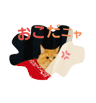 おてんばメインクーン【タミさん】その1（個別スタンプ：18）