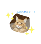 おてんばメインクーン【タミさん】その1（個別スタンプ：20）