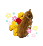 おてんばメインクーン【タミさん】その1（個別スタンプ：37）